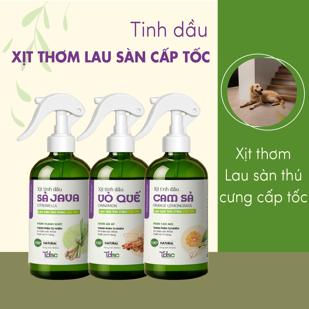 Lau Sàn Thú Cưng Cấp Tốc-01