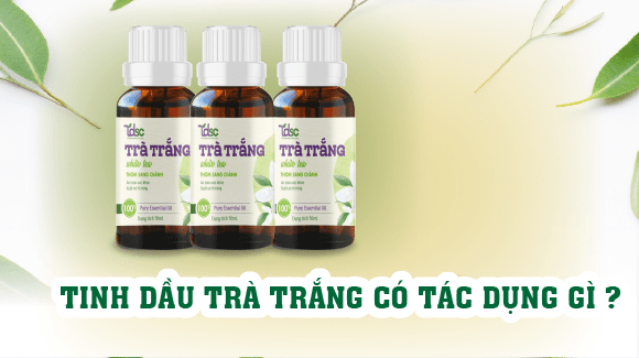 Tinh Dầu Trà Trắng Có Tác Dụng Gì?
