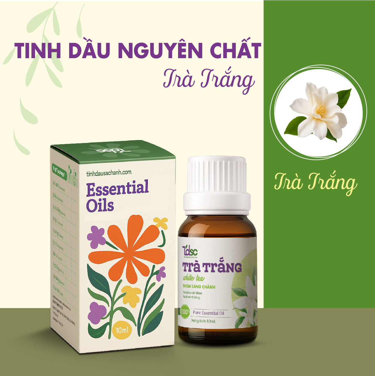 TINH DẦU TRÀ TRẮNG NGUYÊN CHẤT (10)
