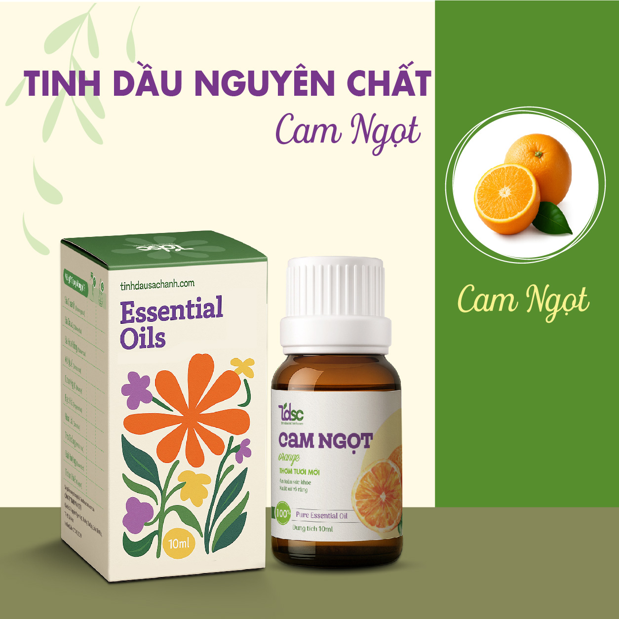 TINH DẦU CAM NGỌT NGUYÊN CHẤT (4)