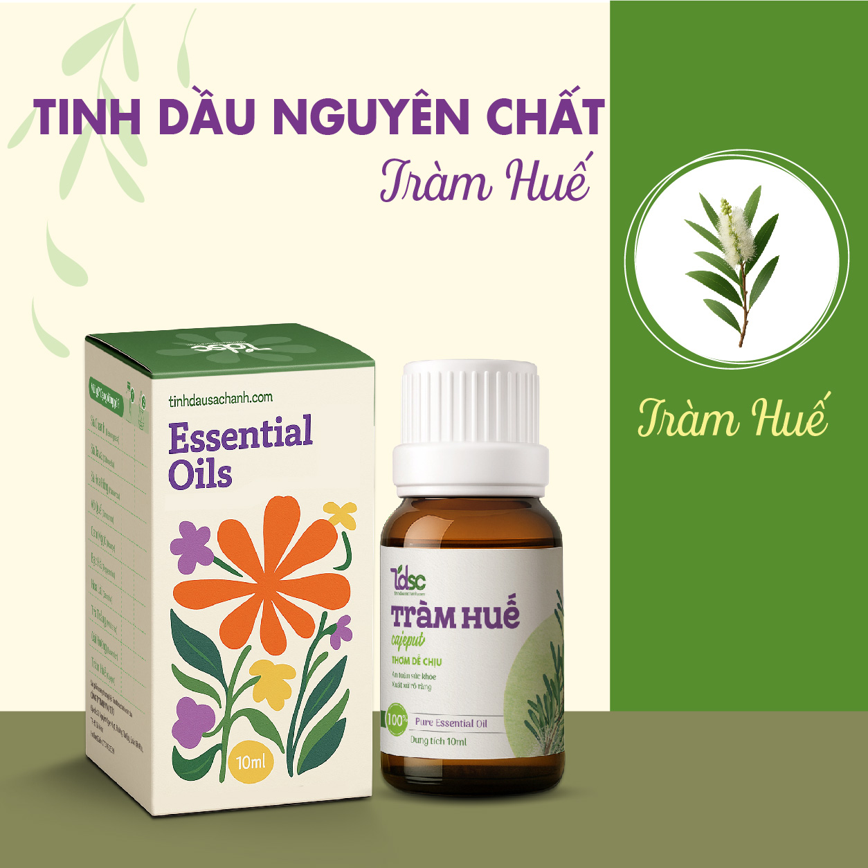 TINH DẦU TRÀM HUẾ NGUYÊN CHẤT (5)