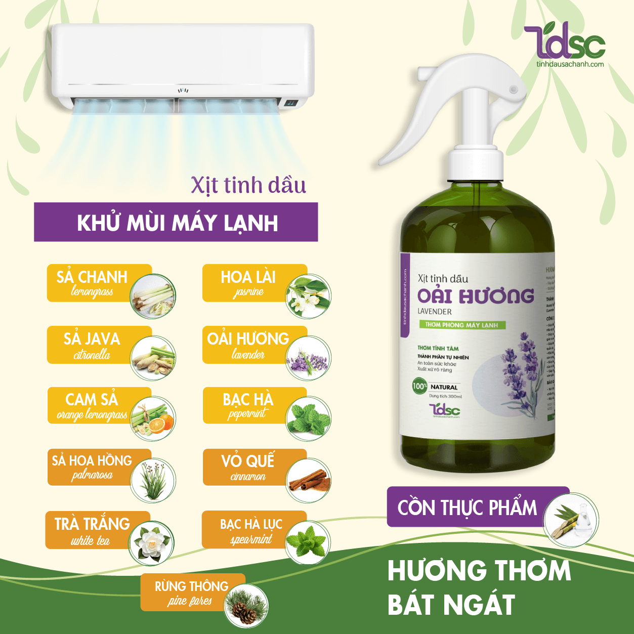 thanh-phan Thành Phần Chính Của Xịt Thơm Phòng Máy Lạnh