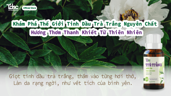 Khám Phá Thế Giới Tinh Dầu Trà Trắng Nguyên Chất: Hương Thơm Thanh Khiết Từ Thiên Nhiên