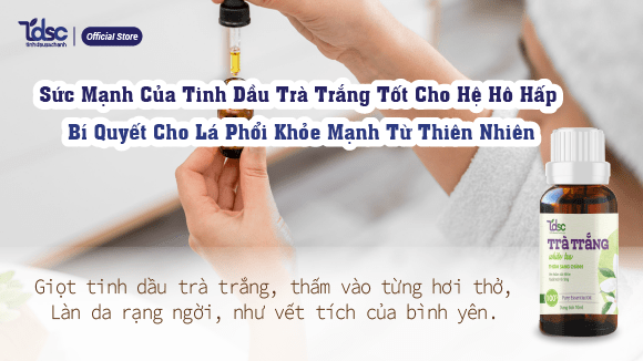 Tinh Dầu Trà Trắng Tốt Cho Hệ Hô Hấp Khỏe Mạnh - Khám Phá Bí Quyết Cho Lá Phổi Thông Thoáng, Tinh Khiết Từ Thiên Nhiên