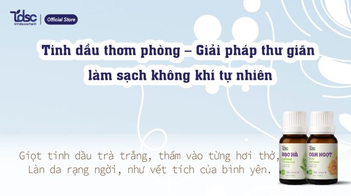Tinh dầu thơm phòng – Giải pháp thư giãn và làm sạch không khí tự nhiên
