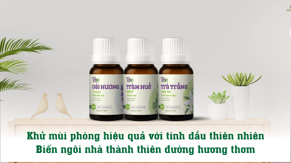Khử mùi phòng hiệu quả với tinh dầu thiên nhiên – Biến ngôi nhà thành thiên đường hương thơm