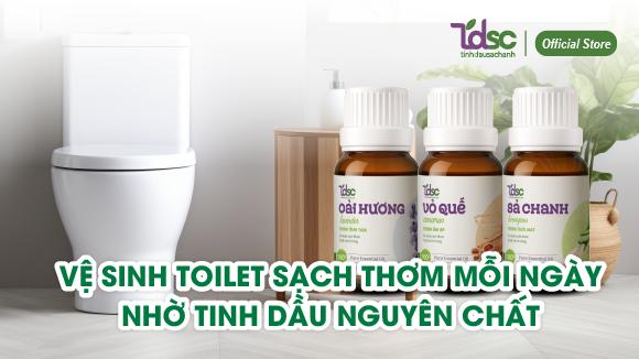 Vệ Sinh Toilet Sạch Thơm Mỗi Ngày Nhờ Tinh Dầu Nguyên Chất