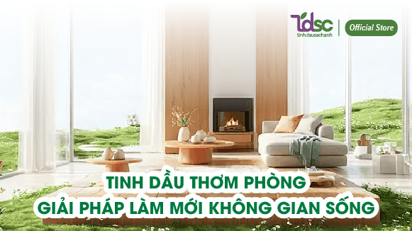 Tinh dầu thơm phòng – Giải pháp khử mùi, thư giãn và làm mới không gian sống