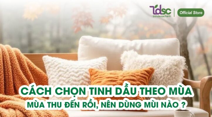 Cách chọn tinh dầu theo mùa: Thu đến rồi, nên dùng mùi nào?