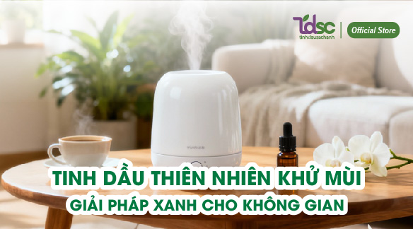 Tinh Dầu Thiên Nhiên Khử Mùi – Giải Pháp Xanh Cho Không Gian Sống