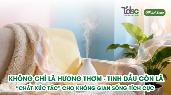 Không chỉ là hương thơm – tinh dầu còn là “chất xúc tác” cho không gian sống tích cực.