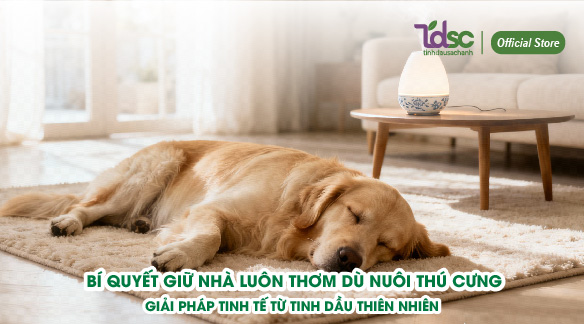 Bí quyết giữ nhà luôn thơm dù nuôi thú cưng – Giải pháp tinh tế từ tinh dầu tự nhiên