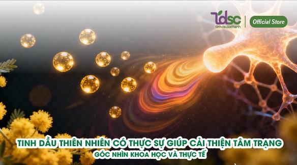 Tinh dầu thiên nhiên có thực sự giúp cải thiện tâm trạng? – Góc nhìn khoa học và thực tế