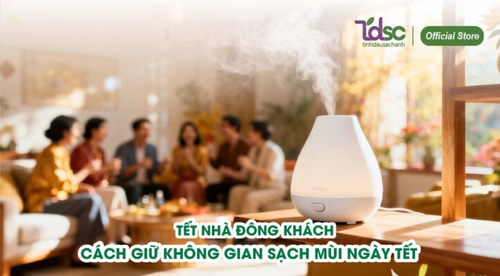Tết nhà đông khách - Cách giữ không gian sạch mùi ngày Tết, luôn dễ chịu