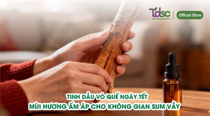 Tinh dầu vỏ quế ngày Tết - Mùi hương ấm áp cho không gian sum vầy