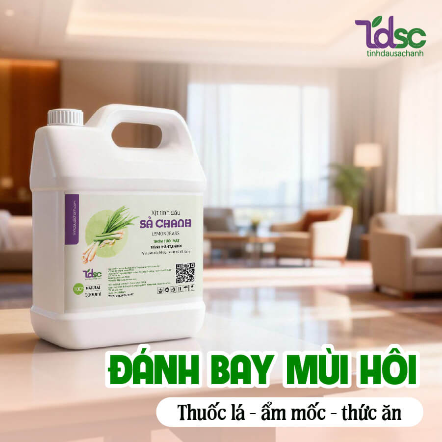 xit-phong-sa-chanh-khu-mui Xịt phòng sả chanh khử mùi