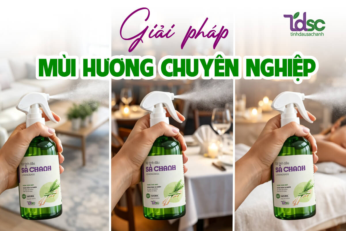 xit-phong-sa-chanh-ung-dung Giải pháp mùi hương chuyên nghiệp