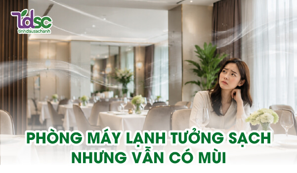 Không gian nhìn sạch nhưng trải nghiệm lại chưa thật sự dễ chịu