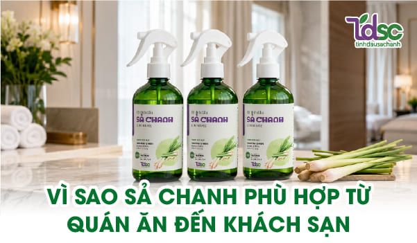 Sả chanh là nhóm hương dễ ứng dụng ở nhiều phân khúc dịch vụ