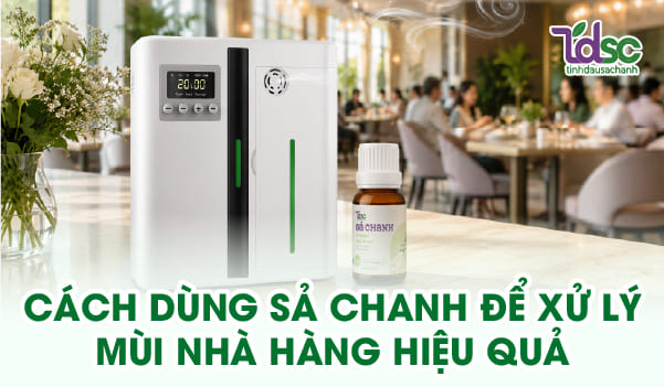 Sả chanh giúp giảm cảm giác mùi thức ăn và duy trì không gian dễ chịu cho khách hàng.