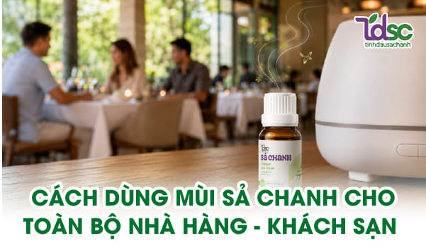 Công thức dùng một mùi sả chanh cho toàn bộ nhà hàng khách sạn